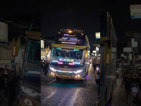 bus telolet kicau kicau mania #comedy #funny #shorts