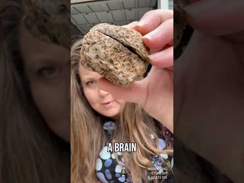 Brain-Shaped Rock: Let’s See What’s Inside!