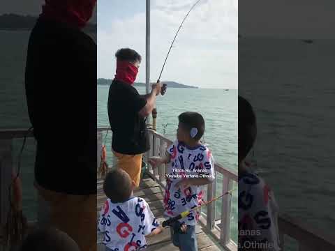 Mancing Mania 🦈 #yerhava #staycation #kelong