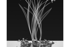 experimenting-with-the-invisible:-hugh-turvey-on-the-art-of-xogram-photography