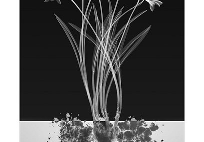 Experimenting with the Invisible: Hugh Turvey on the Art of Xogram Photography