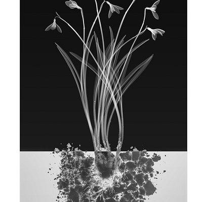 experimenting-with-the-invisible:-hugh-turvey-on-the-art-of-xogram-photography