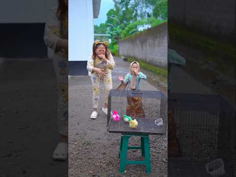joget kicau mania #funny #comedy