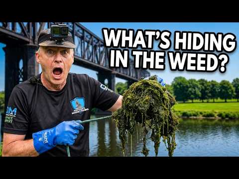 You Won’t Believe What We Found In The WEEDS!