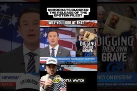 Democrats blocked the release of the Epstein files?