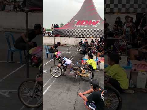 Wijaya vs broiler #balap #balapliar