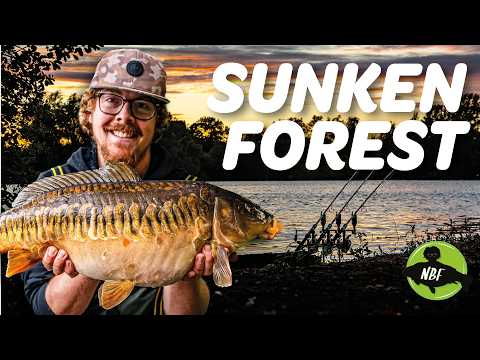 Monster Carp Hiding in a Sunken Forest…