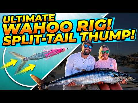 Slow Troll Wahoo: Split-Tail Ballyhoo Secret for Insane Tail Thump