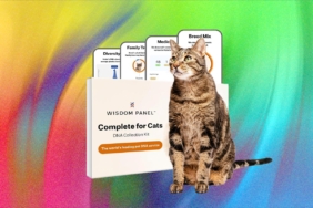 what’s-the-best-pet-dna-test?-we-tested-the-most-popular-ones