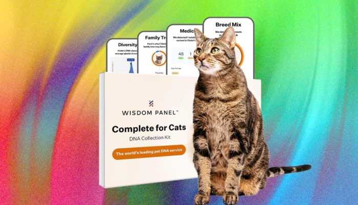 what’s-the-best-pet-dna-test?-we-tested-the-most-popular-ones