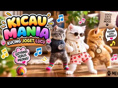 KICAU MANIA KUCING JOGET 🐱🎵 Lagu Anak Indonesia Viral | Kucing Lucu Menari & Bergoyang
