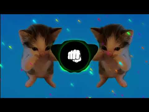 DJ KICAU MANIA X KUCING JOGET KICAU MANIA SLOW FULL SONG VIRAL TIKTOK TERBARU 2026 YANG KALIAN CARI!