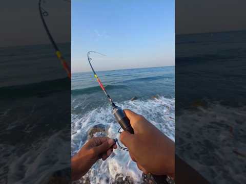 Mancing cumi cumi pakai umpan warnah merah. #fishing #mancingmania #mancing