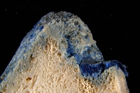 plastic-is-melting-onto-corals