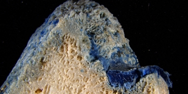 plastic-is-melting-onto-corals