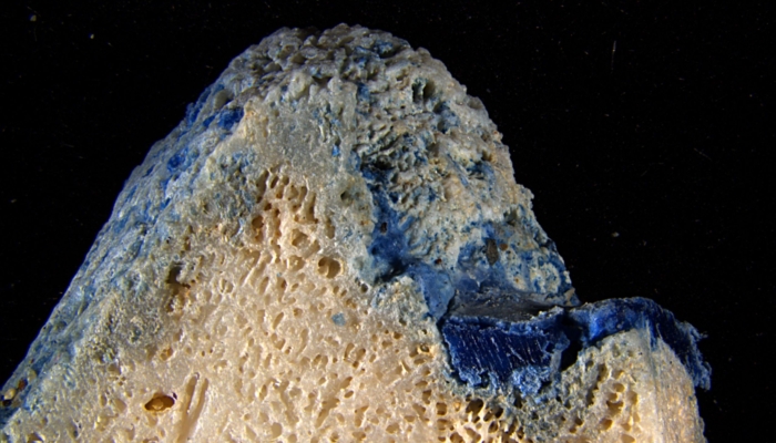 plastic-is-melting-onto-corals