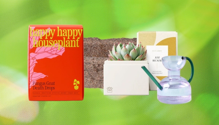 19-best-gifts-for-plant-lovers-and-gardeners-(2026)