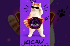 DJ KICAU MANIA VIRAL TIKTOK FULL SONG VIRAL TIKTOK 2026💕