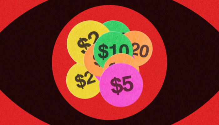 how-to-beat-surveillance-pricing-before-it-bleeds-you-dry