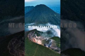 GUNUNG GEDE PANGRANGO #shorts #gununggede #gununggedepangrango #tnggp #alunalunsuryakencana #pendaki