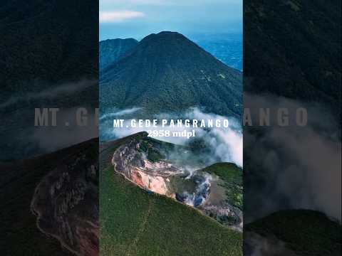 GUNUNG GEDE PANGRANGO #shorts #gununggede #gununggedepangrango #tnggp #alunalunsuryakencana #pendaki