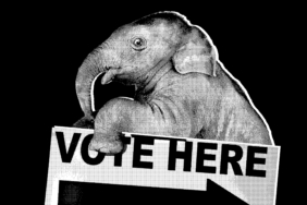 the-white-house-is-starting-to-panic-over-the-midterms