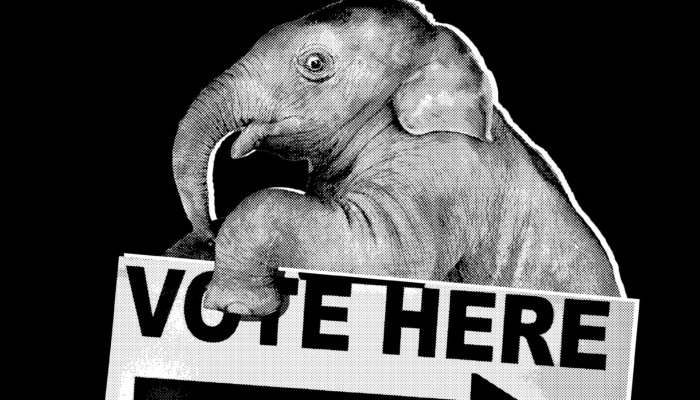 the-white-house-is-starting-to-panic-over-the-midterms