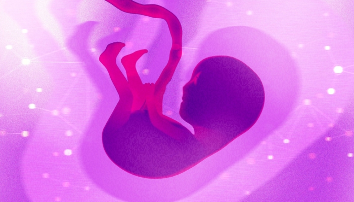 a-biotech-founder-makes-the-moral-case-for-gene-editing-human-embryos