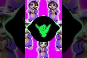 DJ KICAU KICAU KICAU MANIA SLOW VIRAL TIKTOK FULL SONG MAMAN FVNDY 2026