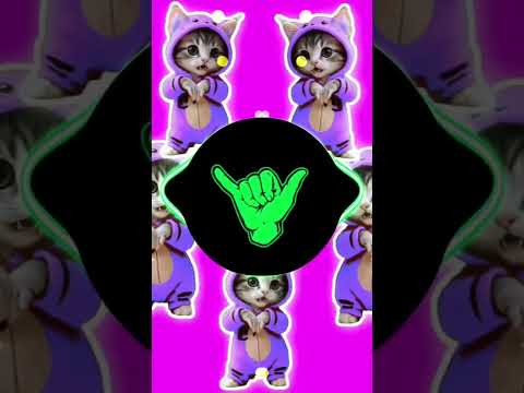 DJ KICAU KICAU KICAU MANIA SLOW VIRAL TIKTOK FULL SONG MAMAN FVNDY 2026