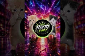 DJ LAGU KICAU MANIA FULL BASS VIRAL TIK TOK TERBARU 2026 GACOR, 🔥