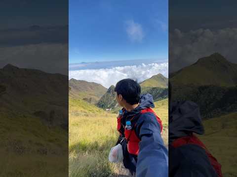 Gunung Merbabu indah di semua sisi jalur nya 💚 #pendaki #merbabu