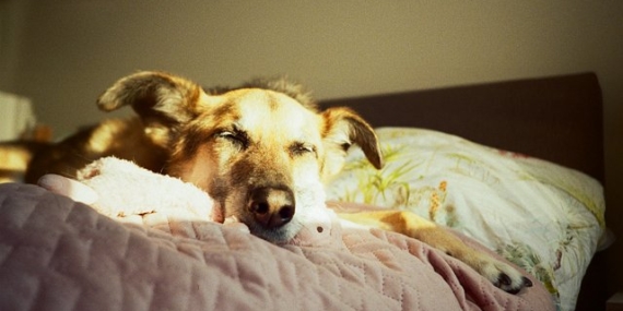 First Roll Favorites with the Lomo MC-A by @js007y, @churbumgirl, and @twiksie