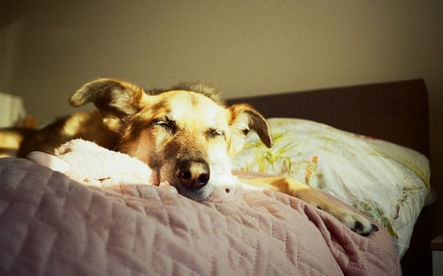 first-roll-favorites-with-the-lomo-mc-a-by-@js007y,-@churbumgirl,-and-@twiksie