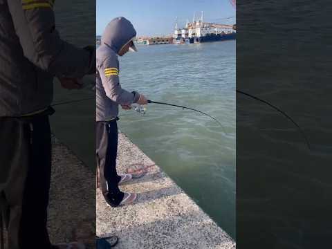 Asiknya Mancing Di Jepang