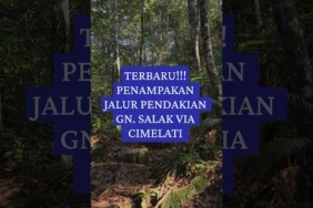 Bagian 4 | Medan pendakian gn. salak via cimelati #gunungsalak #pendaki #pendakigunung #tektok