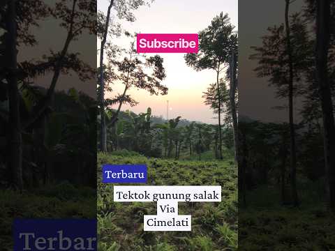 bagian 1 | Tektok gunung salak via cimelati #pendaki #pendakigunung #tektokgunung #gunungsalak
