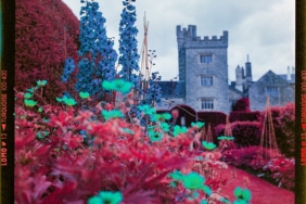 how-to-achieve-color-infrared-tones-using-lomochrome-turquoise-film-by-david-jones