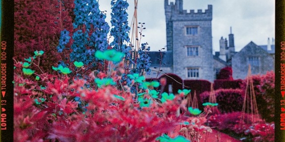 How To Achieve Color Infrared Tones using LomoChrome Turquoise Film by David Jones