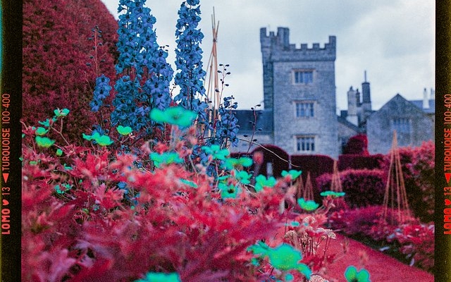 how-to-achieve-color-infrared-tones-using-lomochrome-turquoise-film-by-david-jones
