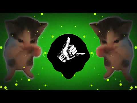 DJ KICAU KICAU MANIA SLOW VIRAL REMIX FULL SONG VIRAL TIKTOK TERBARU 2026 YANG KALIAN CARI!!