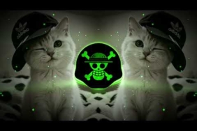 DJ KICAU KICAU KICAU MANIA SLOW VIRAL TIKTOK FULL SONG MAMAN FVNDY 2026
