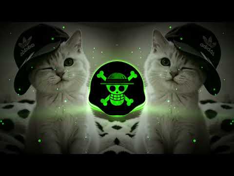 DJ KICAU KICAU KICAU MANIA SLOW VIRAL TIKTOK FULL SONG MAMAN FVNDY 2026