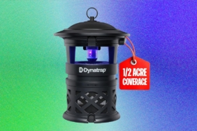 best-mosquito-repellents-for-your-yard:-what-works-and-what-doesn’t-(2026)