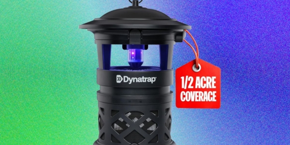Best Mosquito Repellents for Your Yard: What Works and What Doesn’t (2026)