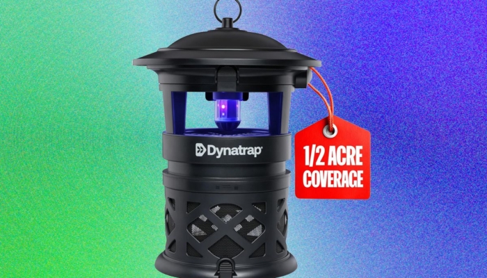 best-mosquito-repellents-for-your-yard:-what-works-and-what-doesn’t-(2026)