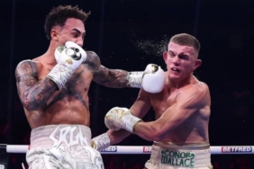 ben-whittaker-jadi-penantang-wajib-juara-ibf-setelah-atasi-wallace