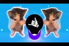DJ KICAU KICAU KICAU MANIA SLOW VIRAL TIKTOK FULL SONG MAMAN FVNDY 2026