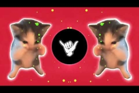 DJ KICAU KICAU KICAU MANIA SLOW VIRAL TIKTOK FULL SONG MAMAN FVNDY 2026 YANG KALIAN CARI CARI