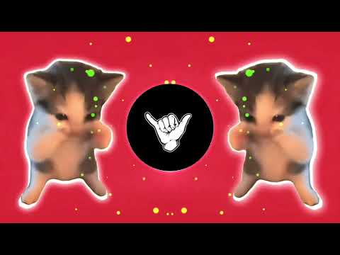 DJ KICAU KICAU KICAU MANIA SLOW VIRAL TIKTOK FULL SONG MAMAN FVNDY 2026 YANG KALIAN CARI CARI